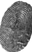 Fingerprint